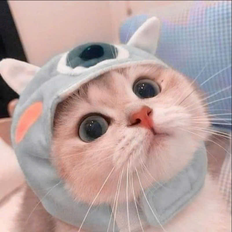 Bot Avatar